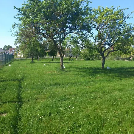 Maison Charmante A Avec Jardin Et Piste De Petanque Chepy (Somme)